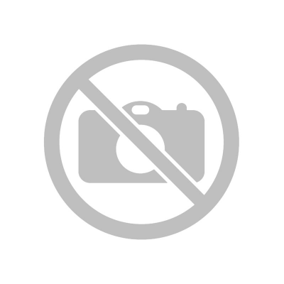 Защита Генератора (пластик) Florimex для FIAT PANDA 2003-2012 - фото